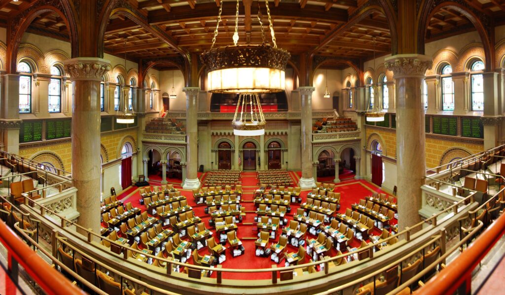 The New York State Assembly Passes the Adult Survivors Act